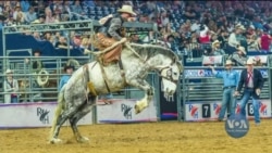 Життя як родео: в Києві відкрилася фотовиставка Майкла Блейзера. Відео