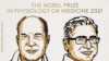 노벨 생리의학상에 줄리어스·파타푸티언