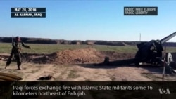 Concerns Over Civilian Suffering as Iraqi Forces Surround Fallujah