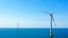 US Sale of Wind Development Rights Gets Record-setting Offers 