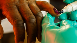 Udaba Esilwethulelwe NguMlondolozi Ndlovu