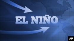 La sécheresse causée par le phénomène climatique El Niño a fait augmenter considérablement le nombre de personnes touchées par la famine en Afrique de l'Est.