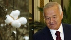 Oliy Majlis saylovlari yaqinlashmoqda, jamoatchilik qanday fikrda? Malik Mansur