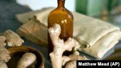 Akar jahe biasanya digunakan untuk teman makan sushi dan menjadi salah satu rempah untuk hidangan mie dan siomai (dok: AP Photo/Matthew Mead)