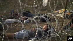 پناه جویان در اروپا