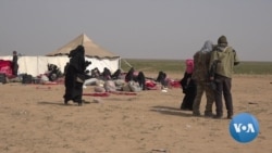 Syria Camp in Crisis as IS Families Flood In
