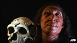 Slika prikazuje obnovljenu lobanju i fizičku rekonstrukciju lica i glave, 75.000 godina stare neandertalke, po imenu Shanidar Z, nazvanupo pećini u Iračkom Kurdistanu u kojoj je njena lobanja pronađena 2018. godine, na Univerzitetu u Kembridžu.