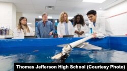 Students studying oceanography at Thomas Jefferson High School for Science & Technology in Virgina.
