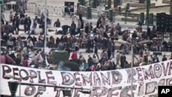 Anti-government demonstrators gather in Tahrir square in Cairo, Egypt, February 3, 2011