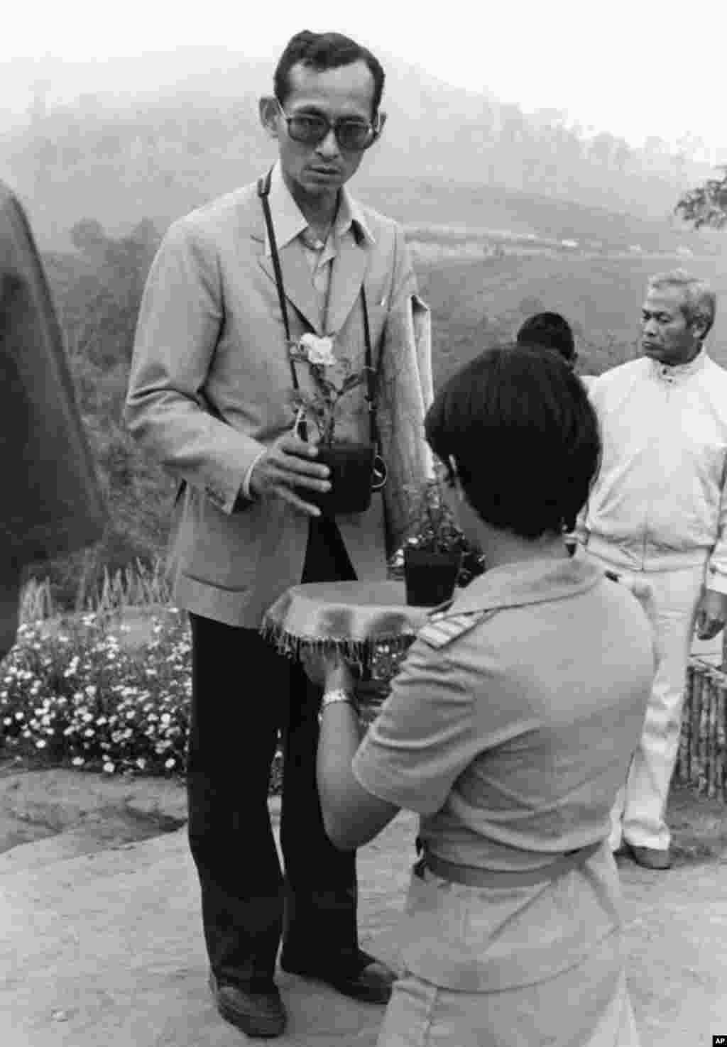 Raja Bhumibol Adulyadej menerima tanaman mawar kecil dari seorang perempuan pada kunjungan ke salah satu proyek substitusi tanamannya di Thailand utara, 1981.