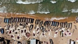 Du sexe - et des risques - pour du poisson