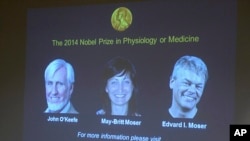 John O'Keefe (à g.), May-Britt Moser et son époux Edvard Moser, les lauréats du Nobel de médecine 2014 (AP) 