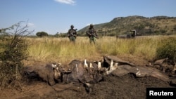 Members of the Pilanesberg National Park Anti-Poaching Unit (APU) stand guard as conservationists and police investigate the scene of a rhino poaching incident in South Africa, April 19, 2012.