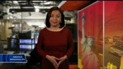 Bir asrlik tuhfa Vashington ko'rki