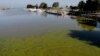 Researchers: Warming Climate Spreads Dangerous Algae