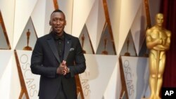 Mahershala Ali tiba di perhelatan Oscars 2017 di Dolby Theatre, Los Angeles (26/2). 