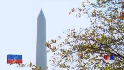 Amerika qancha qochqinni qabul qiladi?