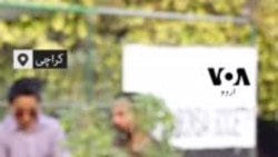 بونسائی آرٹ: جو عام پودے کو قیمتی بنا دے