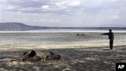 Kenya Wildlife Service warden Vincent Ongwae looks at the carcass of a buffalo that had died due to drought, on the shore of Lake Nakuru in Kenya, Oct 2009 (file photo)