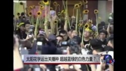 时事大家谈：太阳花学运出关播种，超越蓝绿的白色力量？