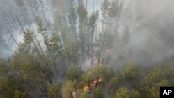 A forest fire burning near the village of Volodymyrivka, in the exclusion zone around the Chernobyl nuclear power plant, Ukraine, Sunday April 5, 2020.