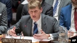 英国常驻联合国副代表艾伦在联合国安理会发言