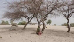 COP26: l'artiste béninois Romuald Hazoumé dénonce "l'hypocrisie" des dirigeants