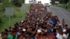 IOM: Migrant Caravan Heading to US Border Poses No Threat