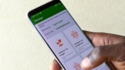 Une startup camerounaise aide les éleveurs à détecter les maladies chez les animaux