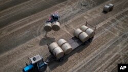 지난 8월 우크라이나 크이우(러시아명 키예프) 지역에서 농부들이 작업하고 있다. (자료사진)