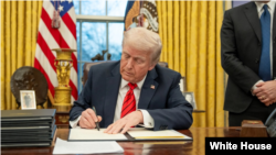 د امریکا ولسمشر، ډونالډ ټرمپ