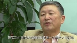 分析人士谈孟宏伟案件