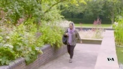 From exile, Afghan outlets find ways to amplify women’s voices