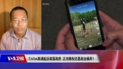 时事大家谈：TikTok高调起诉美国政府，正当维权还是政治操弄？