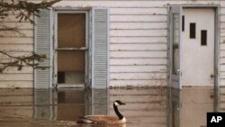 Banjir di bagian barat Kanada membuat jalan-jalan tertutup air dan jembatan-jembatan sulit dilalui. (Foto: Dok)