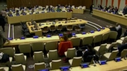 Zika Efforts Focus on Surveillance, Response and Research