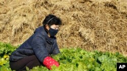 FAO/WFP 조사팀이 지난해 4월 북한 황해북도 은파군에서 식량 안보 상황을 조사하고 있다. WFP/James Belgrave.