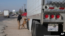 যুক্তরাষ্ট্রে প্রবেশের আগে একটি পণ্যবাহী মেক্সিকান ট্রাকে মাদকের জন্য তল্লাশি করা হচ্ছে। ফটোঃ ৩ ফেব্রুয়ারি, ২০২৫।