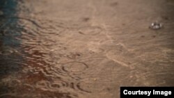 តំណក់​ទឹក​ភ្លៀង​ដែល​ធ្លាក់​យ៉ាង​ជោកជាំ​នៅ​មុខ​តុលាការ​ខេត្ត​កោះកុង ខណៈពេល​ដែល​ប្រជាពលរដ្ឋ​មក​ពី​ភូមិ​ចំនួន​៨​នៅ​ក្នុង​ខេត្ត​កោះកុង នាំ​គ្នា​តវ៉ា​ឲ្យ​ដោះលែង​សកម្មជន​បរិស្ថាន​ទាំង​បីនាក់​របស់​ចលនា​មាតាធម្មជាតិ កាលពី​ថ្ងៃច័ន្ទ ទី២៧ ខែមិថុនា ឆ្នាំ២០១៦។ (រូបថត​ដោយ​អ្នកនាង ម៉ម កល្យាណី)