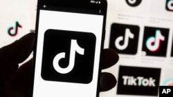 "En raison de la diffusion de messages haineux et subversifs relayés sur les réseaux sociaux [...] l'internet des données mobiles est suspendu temporairement sur certaines plages horaires", a annoncé le ministre des Télécommunications et de l'Economie numérique.