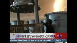 阿萨德未遵守叙利亚移交化武限期