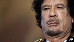 Keluarga Moammar Gaddafi diduga menyembunyikan lebih dari $ 1 milyar hartanya di Afrika Selatan (foto: dok).
