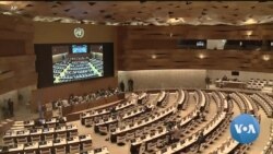 Taliban Seek to Speak at United Nations