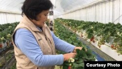 재일조선인 북송 사업에 의해 북한에 갔다가 다시 고향인 오사카로 돌아와 살고 있는 여성. 일본으로 다시 돌아온 북송 재일조선인과 자녀들은 소외감과 언어 문제 등으로 재정착에 어려움을 겪고 있다는 연구 결과가 나왔다.