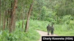 Des soldats des Forces armées de la République démocratique du Congo (Fardc) en patrouille à Oicha. VOA / Charly Kasereka