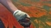 More Oil Captured from Spill in Gulf of Mexico, But BP Well Still Leaks