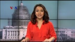 Peluang Ekonomi Bisnis Kafe Khusus Anjing