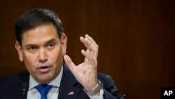 마르코 루비오 미국 공화당 상원의원.