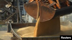 រូបឯកសារ៖ ស្រូវបាឡេដែលនាំចូលប្រទេសចិន កំពុងត្រូវដឹកចេញពីកប៉ាល់ដឹកទំនិញពីកំពង់ផែ Nantong ខេត្ត Jiangsu ប្រទេសចិន កាលពីថ្ងៃទី២១ ខែកុម្ភៈ ឆ្នាំ២០១៤។