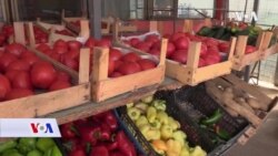 Organska proizvodnja - budućnost ili rijedak hobi